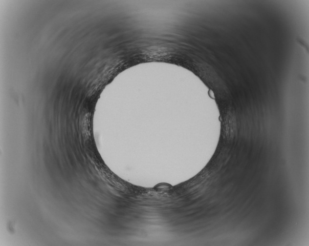 X0000103481346200810241028