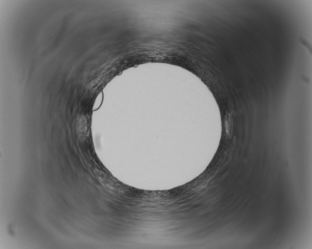 X0000103481347200810241028