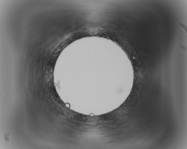 X0000103481349200810241028