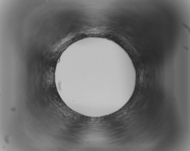 X0000103481350200810241028