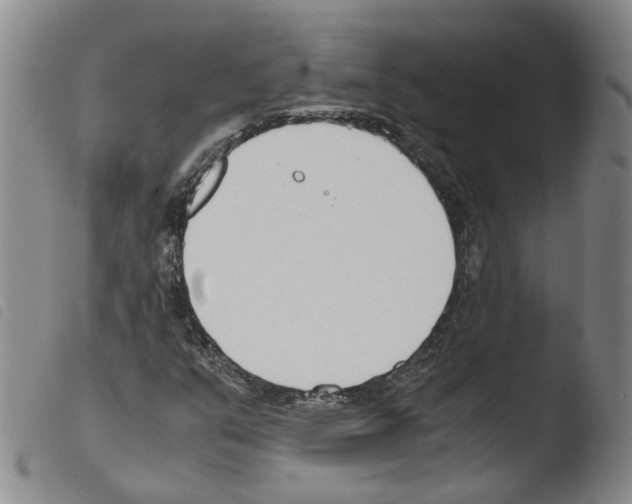 X0000103481351200810241028