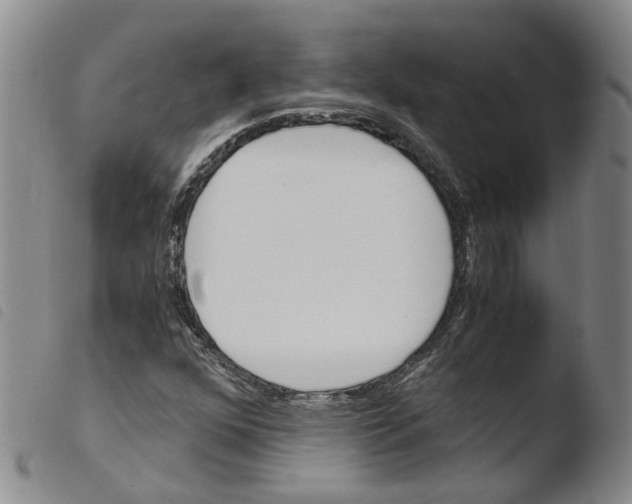 X0000103481352200810241028