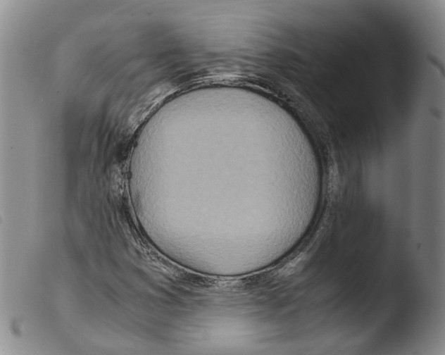 X0000103481353200810241028
