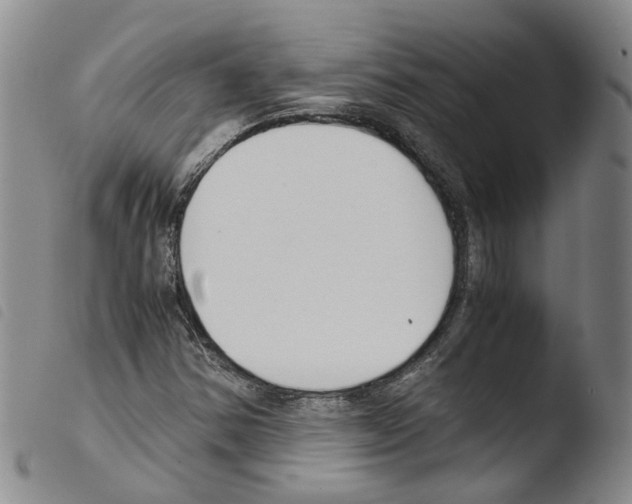 X0000103481354200810241028