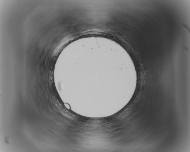 X0000103481355200810241028