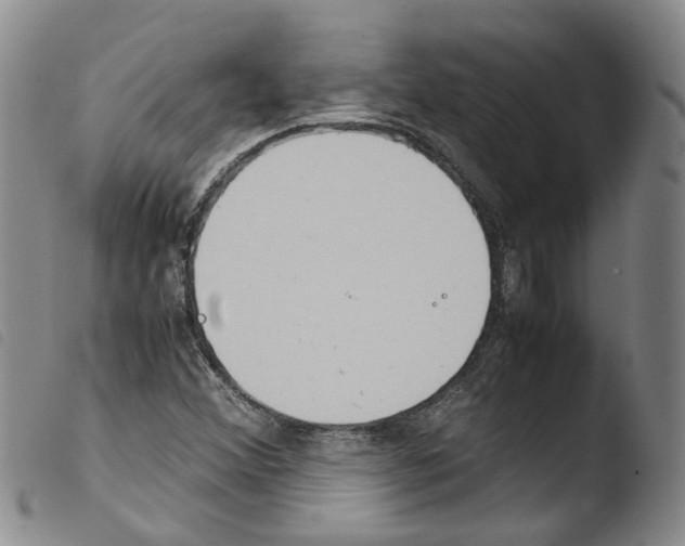 X0000103481356200810241028