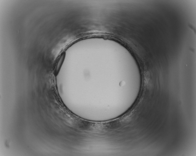 X0000103481357200810241028