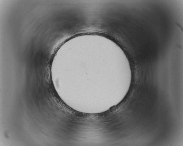 X0000103481358200810241028