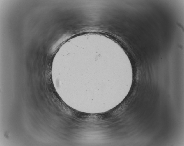 X0000103481359200810241028