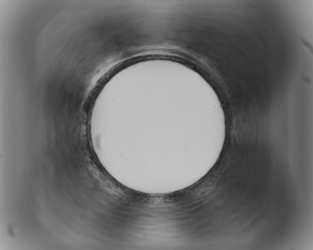 X0000103481360200810241028
