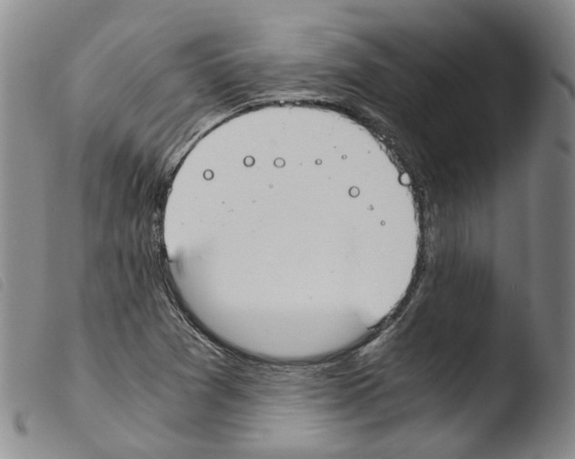 X0000103481361200810241028
