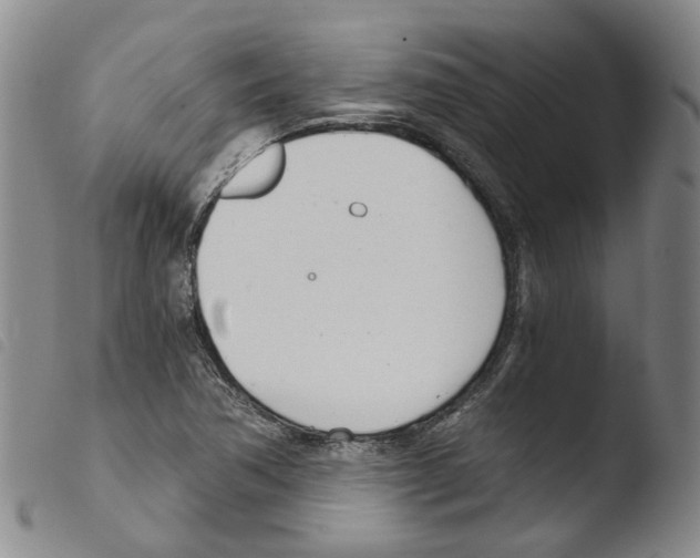 X0000103481362200810241028