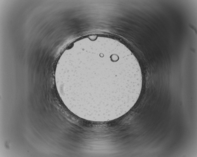 X0000103481363200810241028