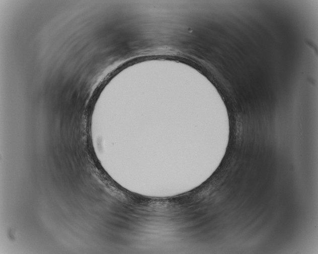 X0000103481364200810241028