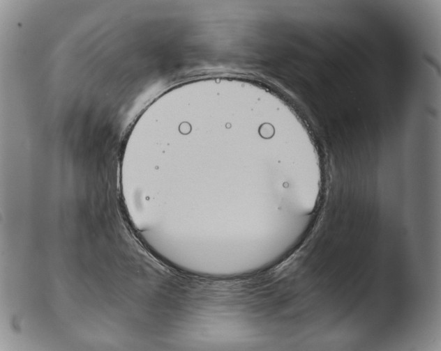 X0000103481365200810241028