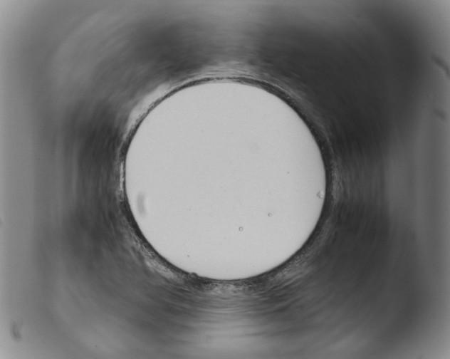 X0000103481366200810241028