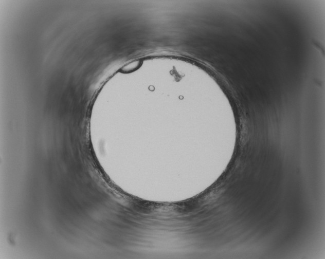 X0000103481367200810241028