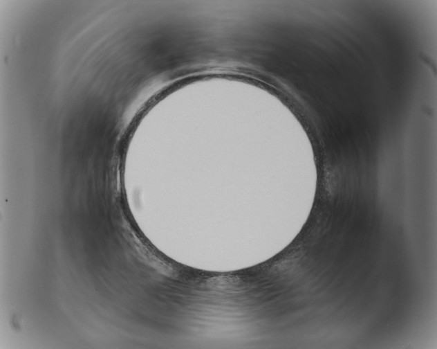 X0000103481368200810241028