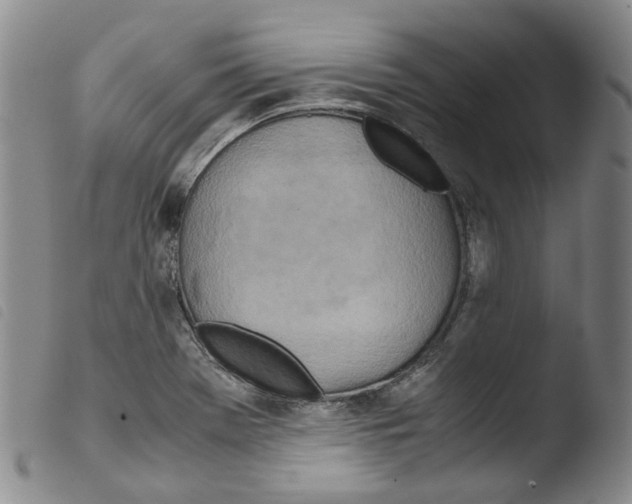 X0000103481369200810241028