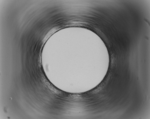 X0000103481370200810241028