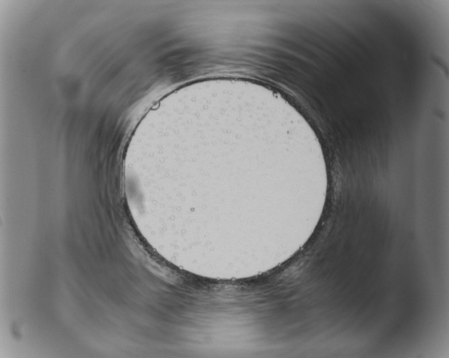 X0000103481371200810241028