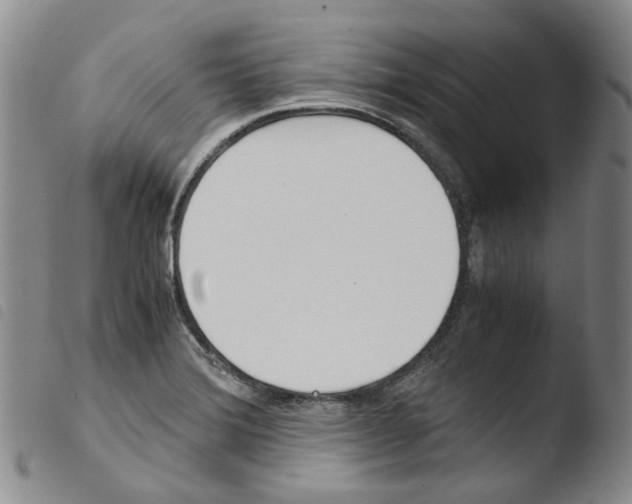 X0000103481372200810241028