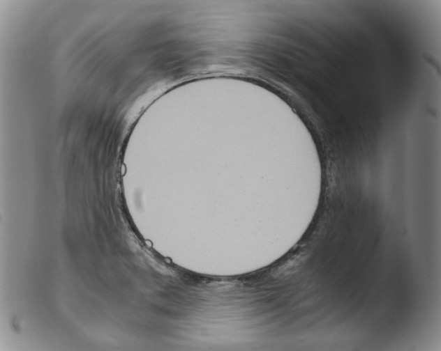 X0000103481373200810241027