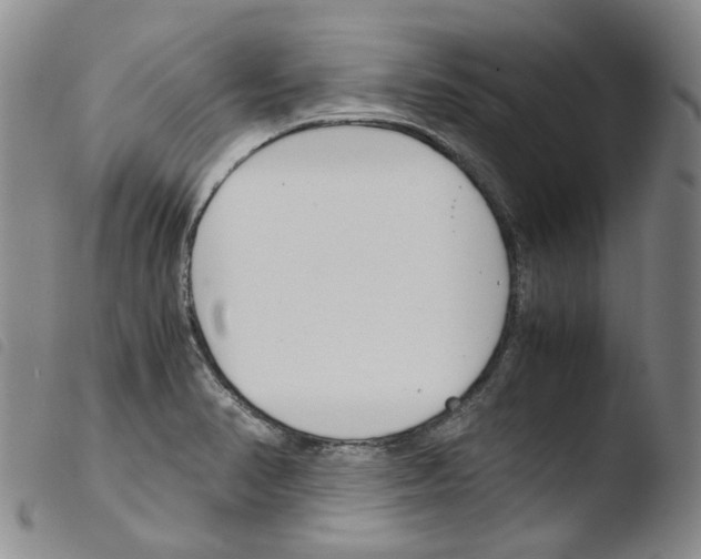 X0000103481374200810241027