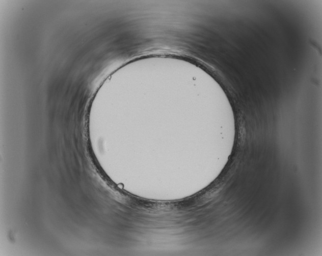 X0000103481375200810241027