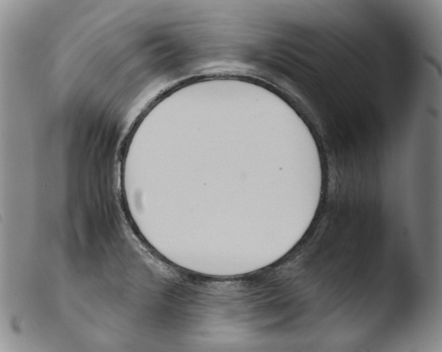 X0000103481376200810241027