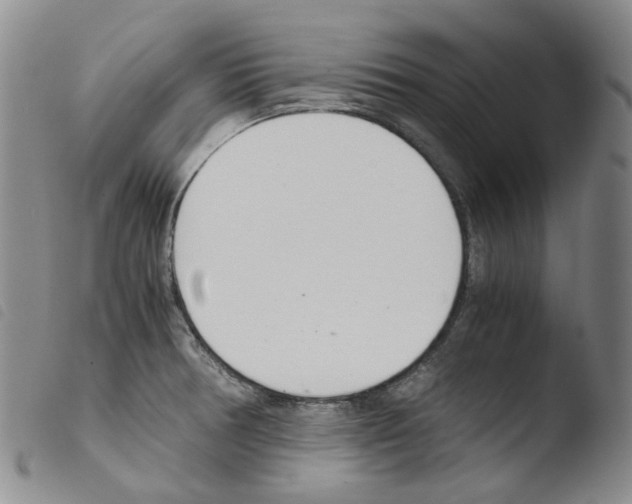 X0000103481378200810241027