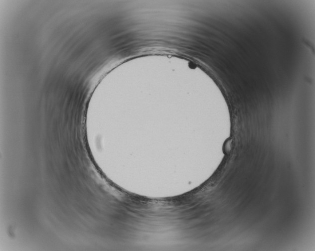 X0000103481379200810241027