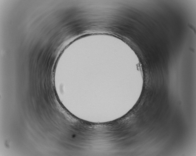 X0000103481380200810241027