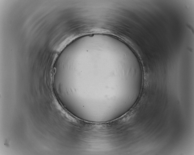 X0000103481381200810241027