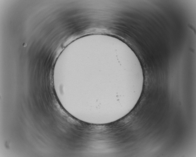X0000103481382200810241027