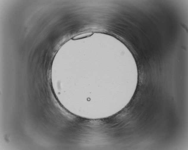 X0000103481383200810241027
