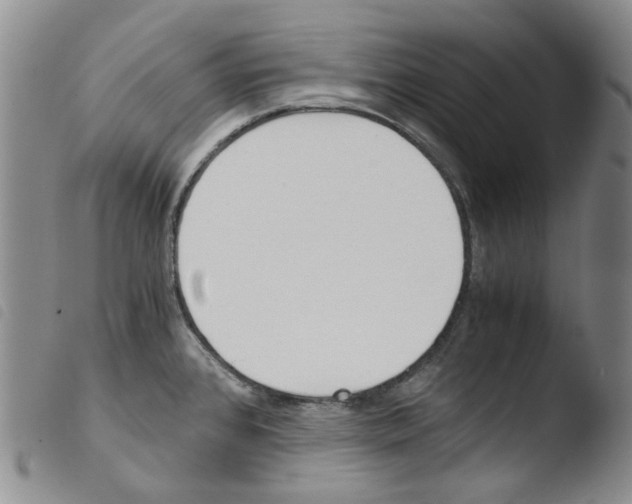 X0000103481384200810241027