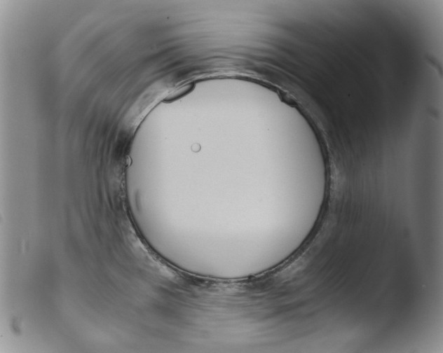 X0000103481385200810241027