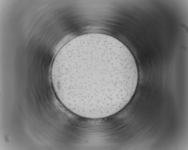X0000103481386200810241027
