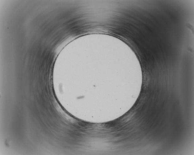 X0000103481387200810241027