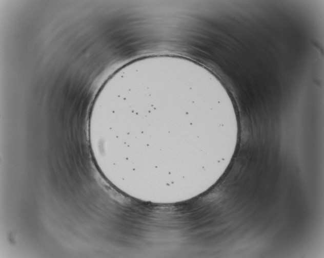 X0000103481388200810241027
