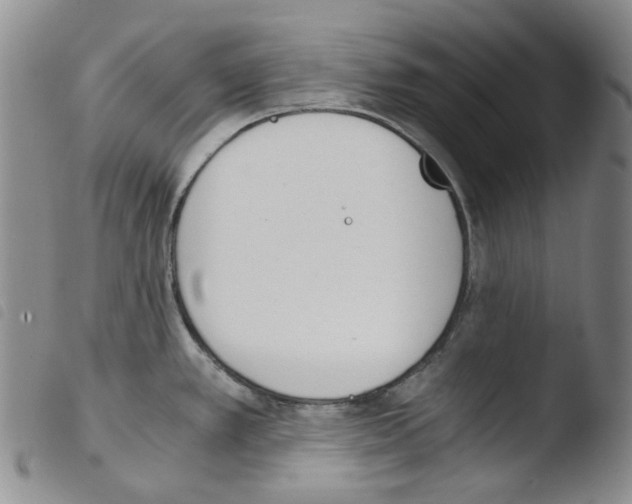 X0000103481389200810241027