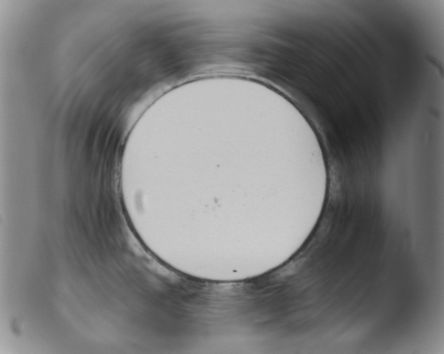 X0000103481390200810241027