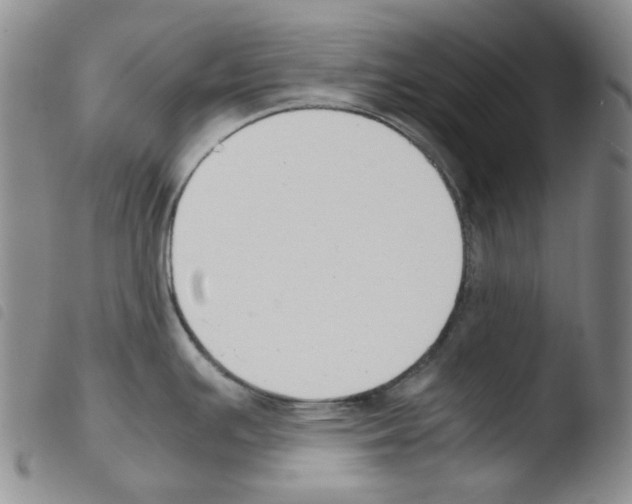 X0000103481391200810241027