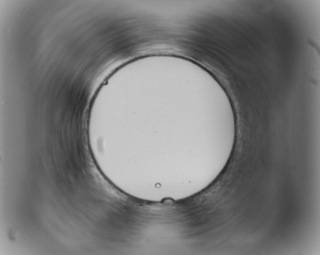 X0000103481392200810241027