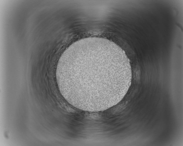 X0000103481393200810241027