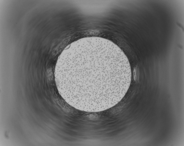 X0000103481395200810241027