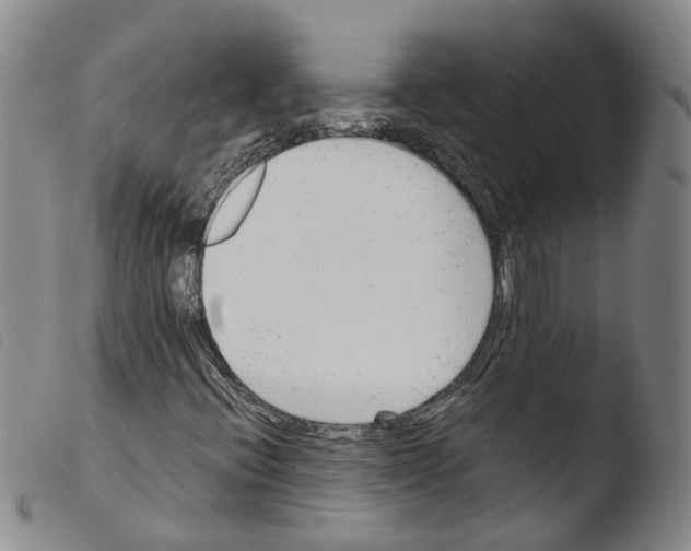 X0000103481396200810241027
