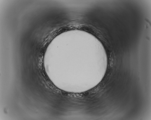 X0000103481397200810241027