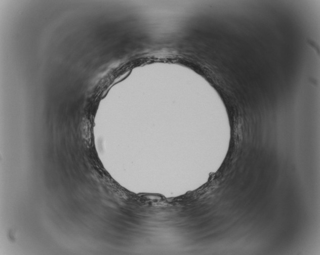X0000103481398200810241027